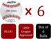 Little League Baseballs