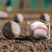 Baseball Display Case