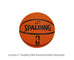 Door Basketball Ring & Backboard