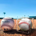 Baseball Display Case